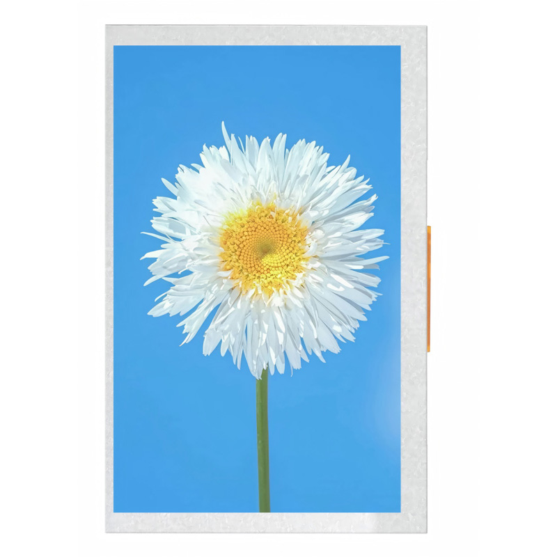 Jingming  Custom LCD 5.0 inch TFT Panel IPS LCD Screen 400nit 720x1280 LCM Display Module