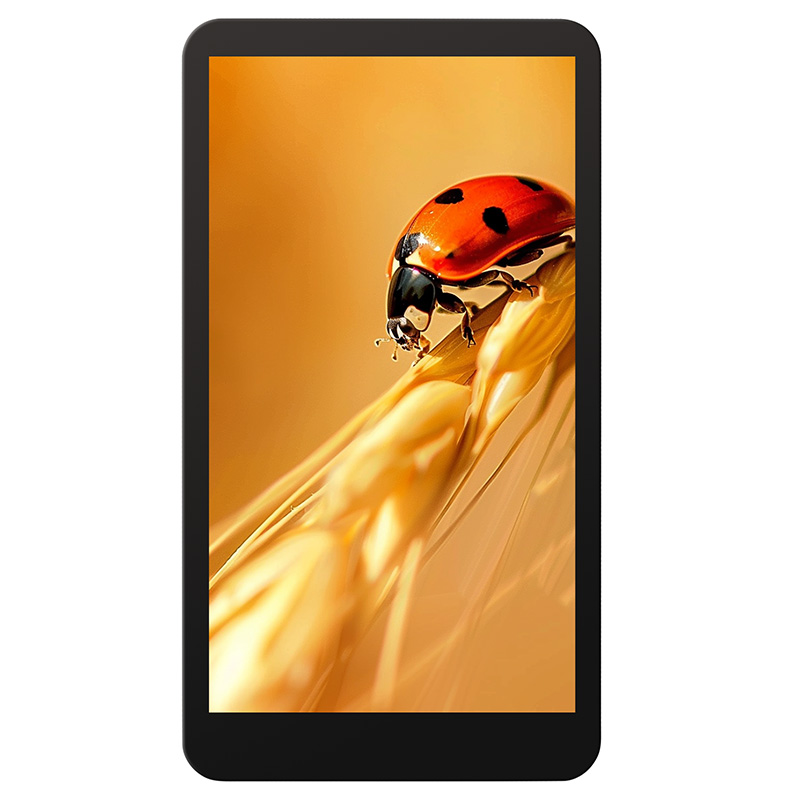 4.7 Inch 720*1280 TFT HD Display Screen Mipi Interface LED Panel for Pocket Learning Machine Game Console & LCD Display